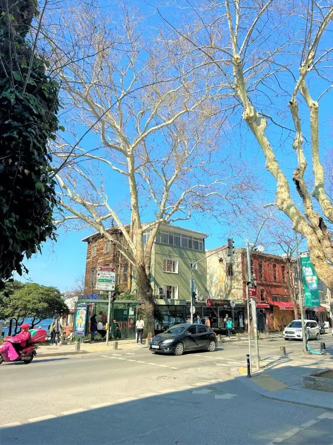 Kuzguncuk View