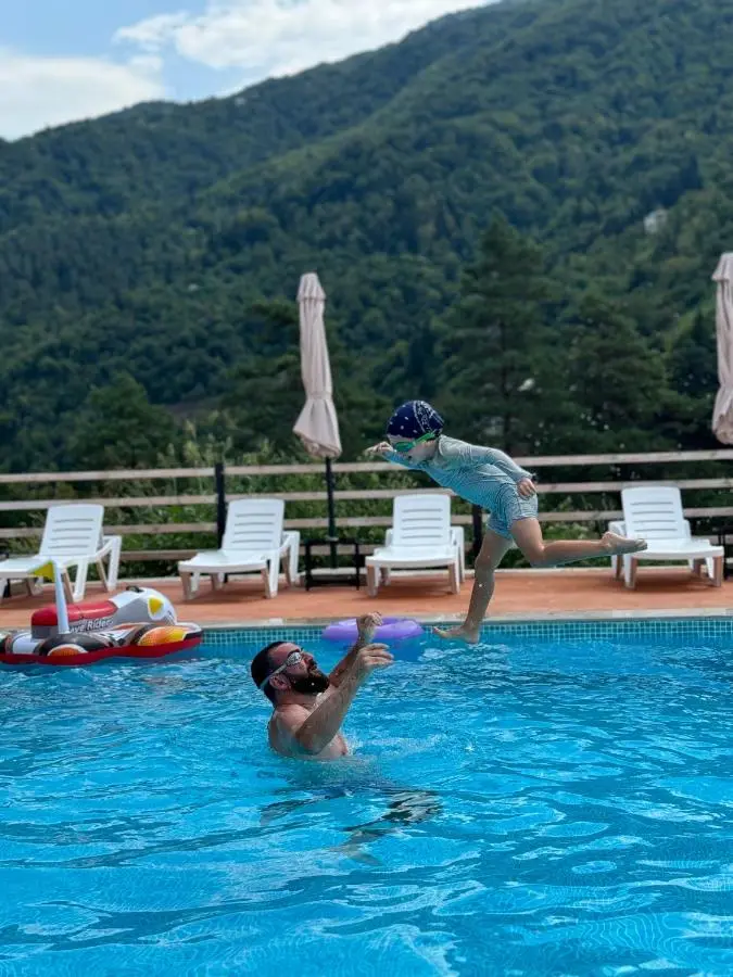 Hotel Chateau Iveri