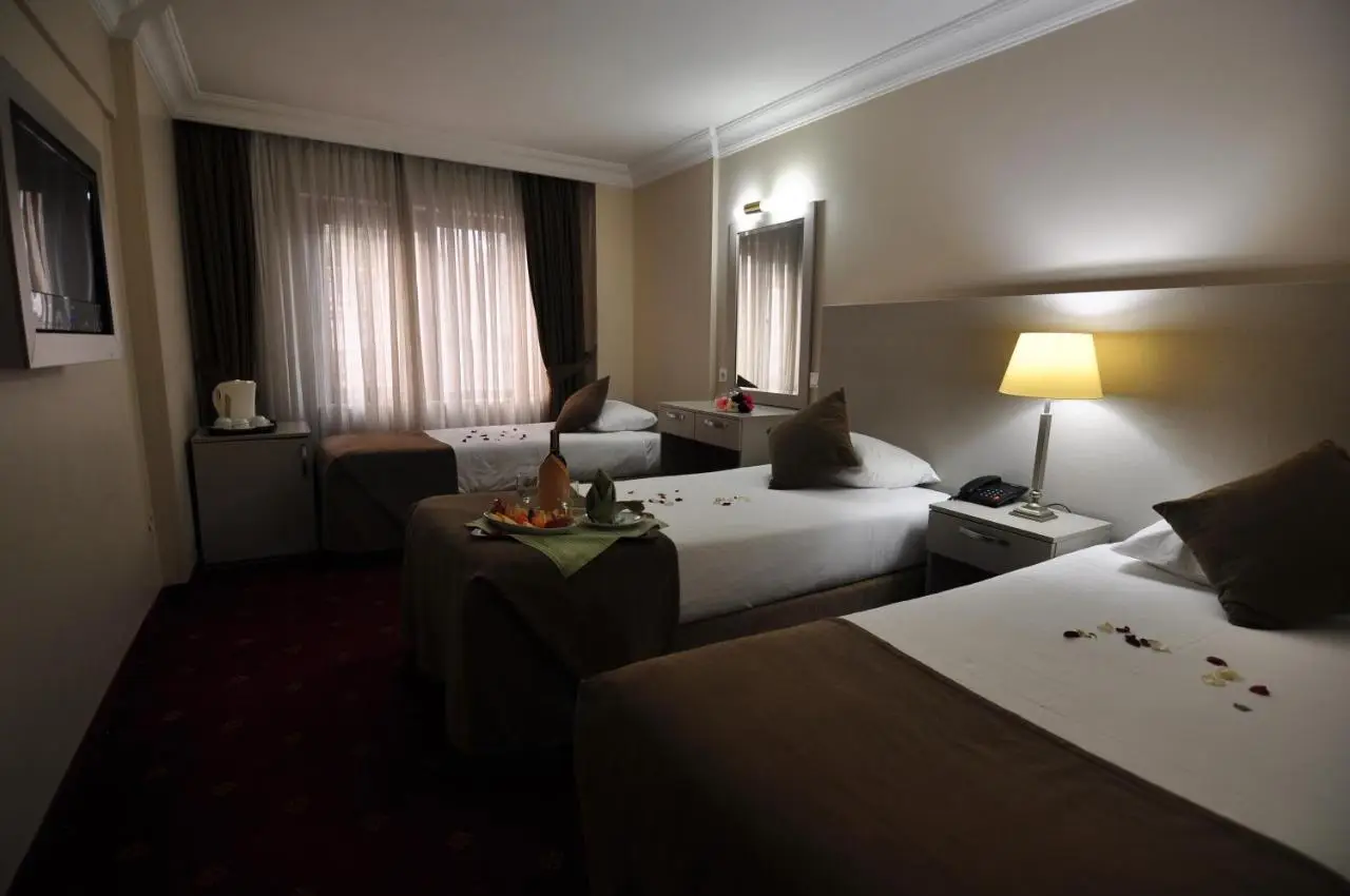 Hotel Buyuk Sahinler