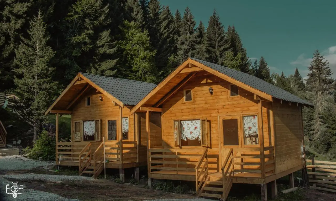 Mountain Cabins