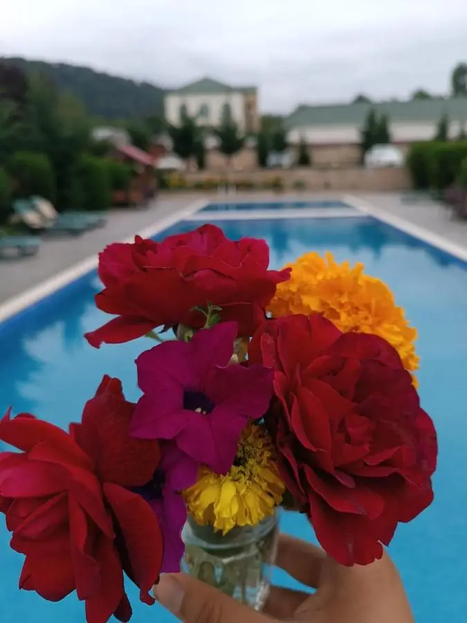 Bliss Inn Hotel Gabala Vandam