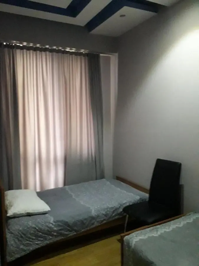 Apartment on Rustaveli