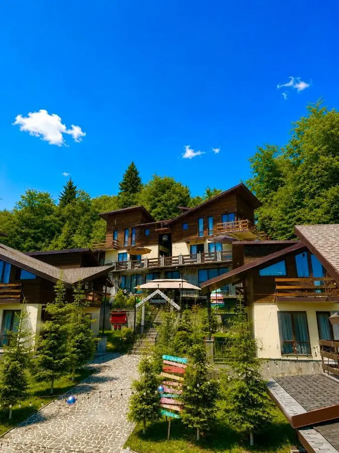 7 Cottage in Bakuriani