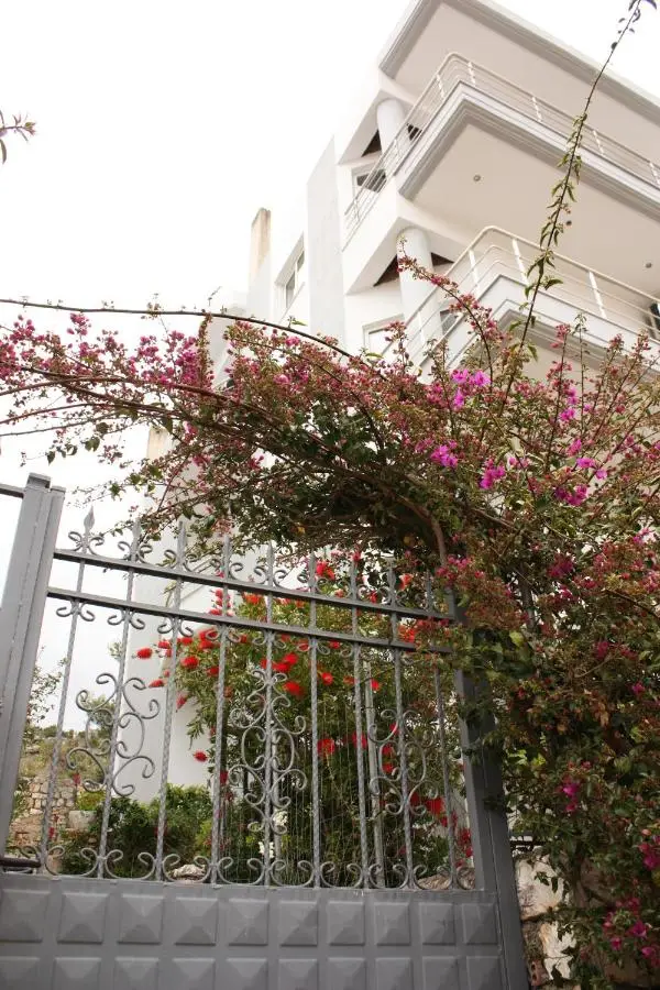 Alexandra´s Apartments