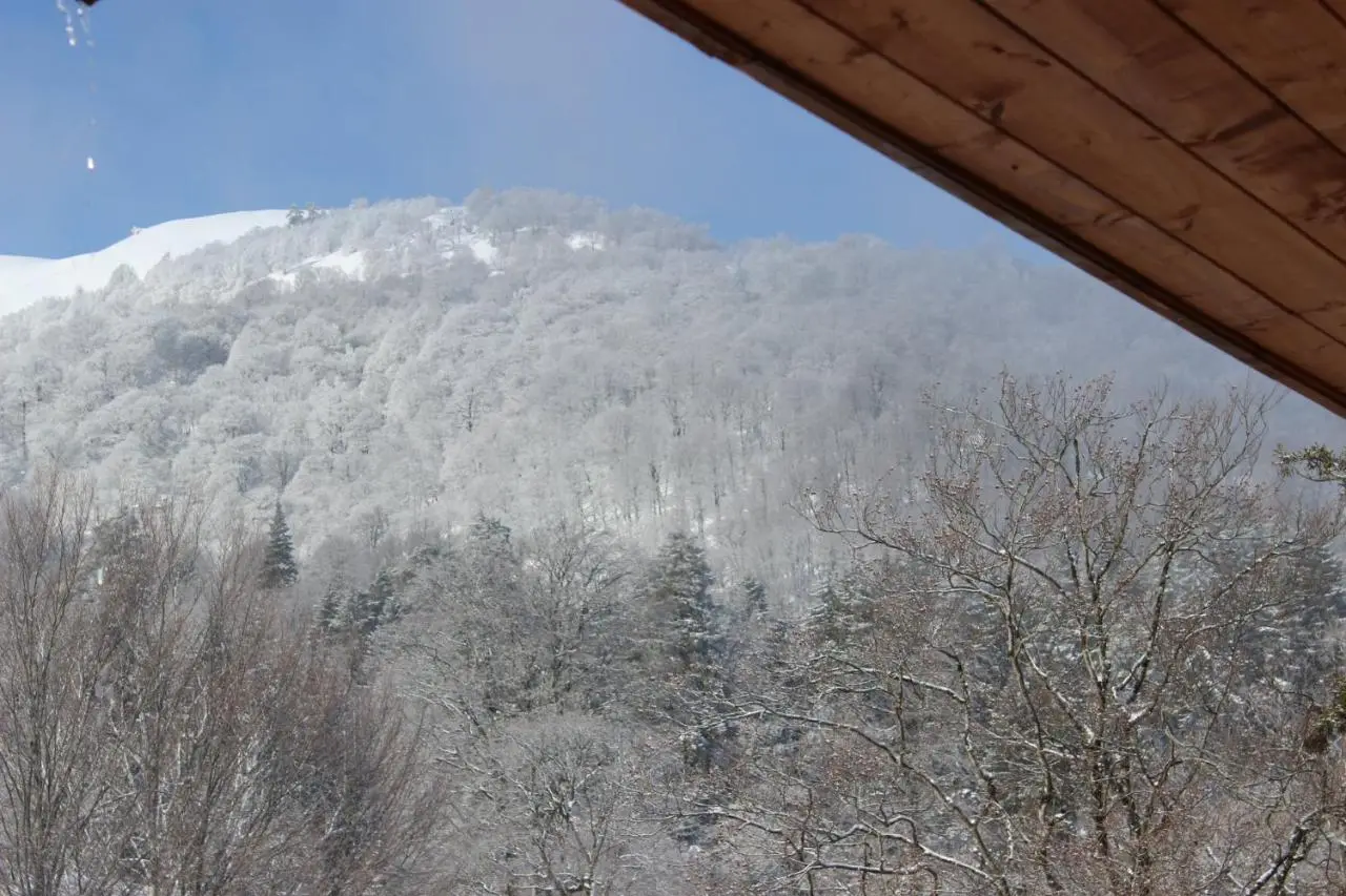 Bakuriani Valley