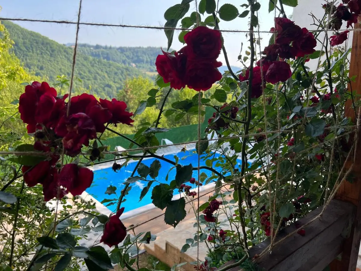 Villa IMAN