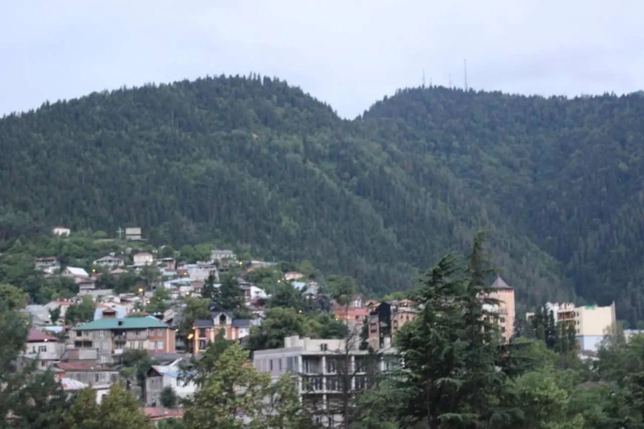 Diasamidzeebi apartment