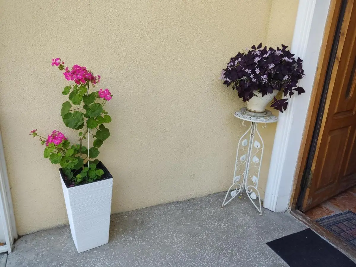 Boutique Hotel Eco-House 25 Tbilisi