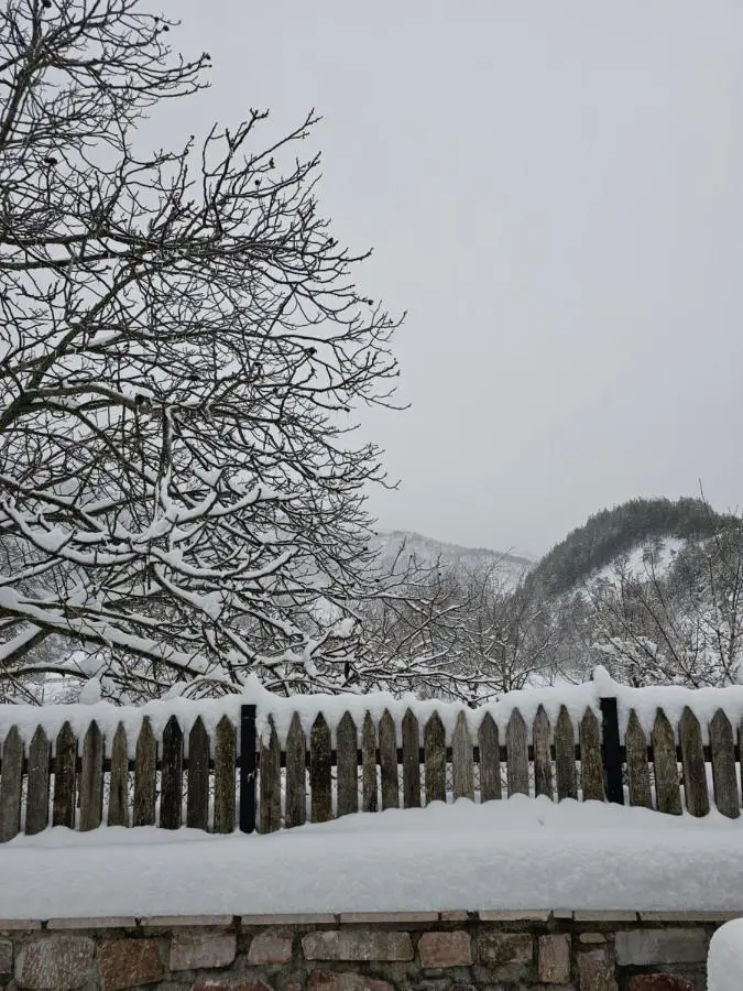Vacation Home Domgjon
