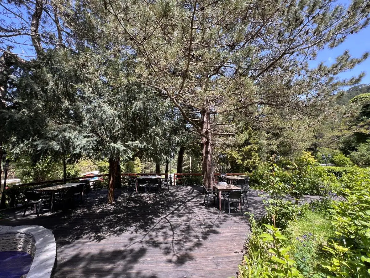 Hotel Alpin Llogara