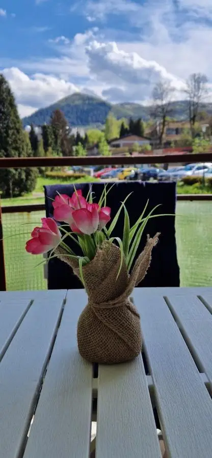 VIEW APARTMENT