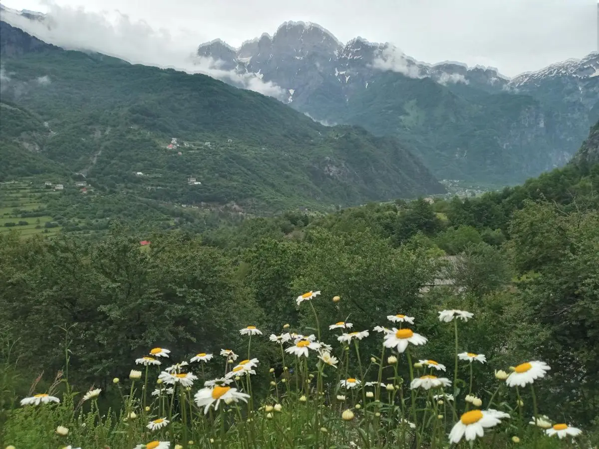 Guesthouse Kroni I Micanit