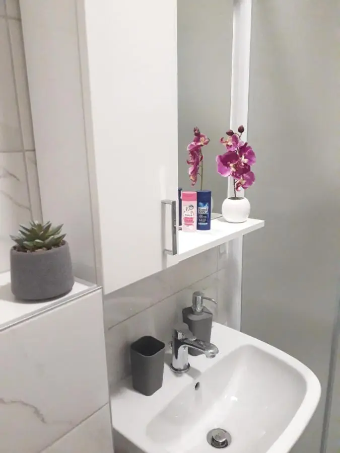 Studio apartman Promenada