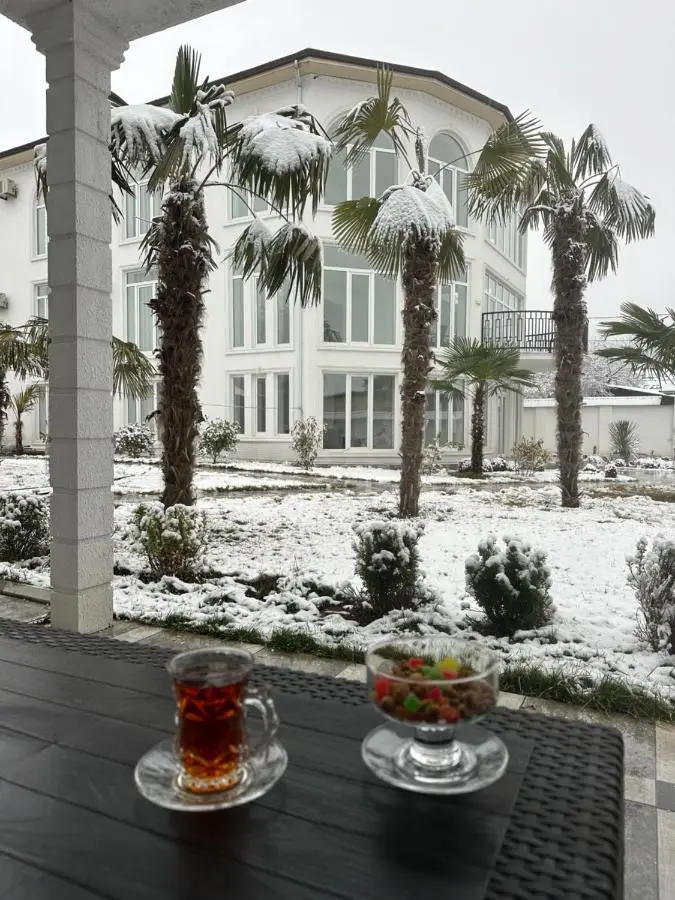 Gabala Palm Villa