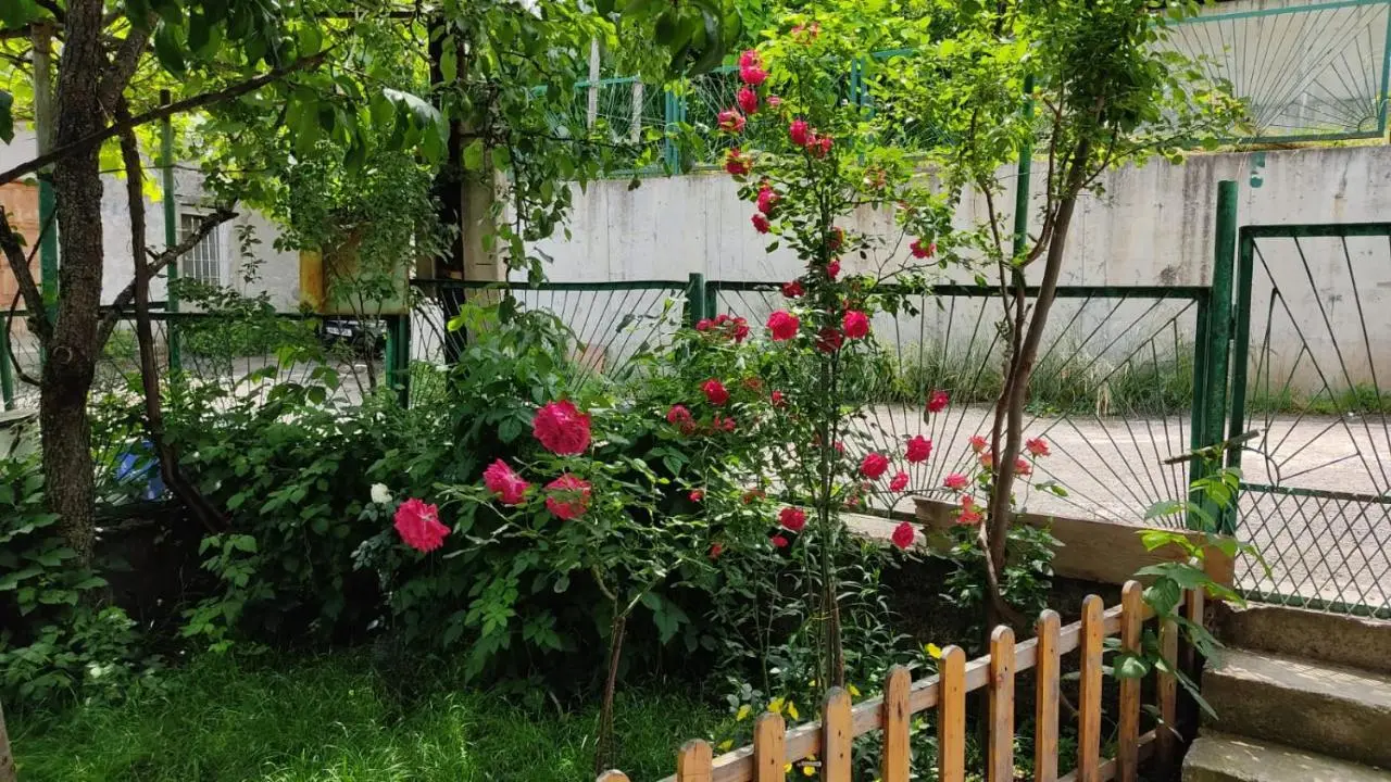 Borjomi Nest