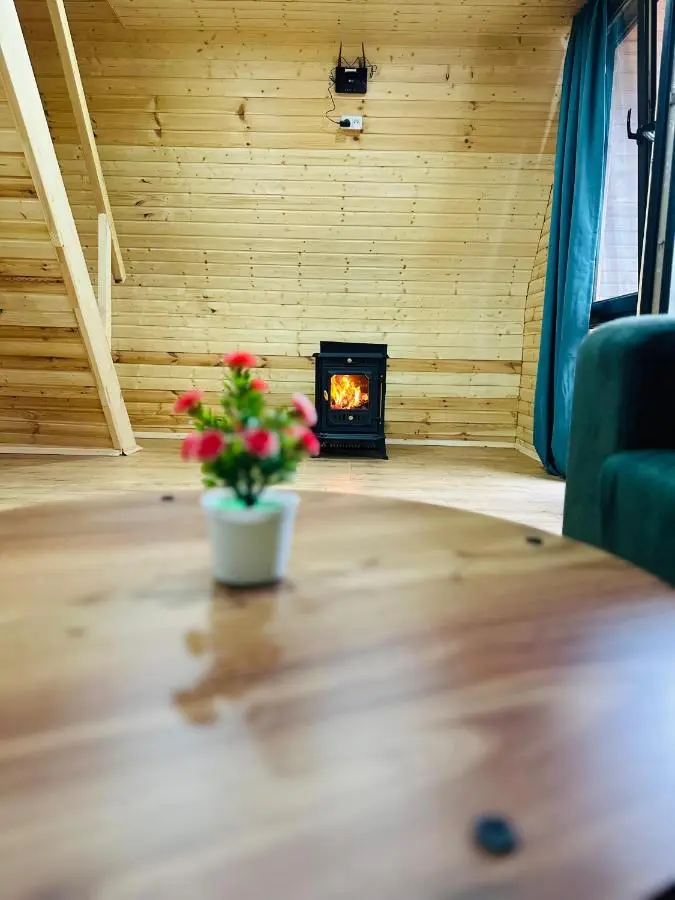 Villa Wood in Mestia N 2