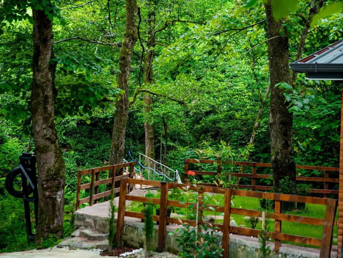 Dolana Wadi Taş Evleri