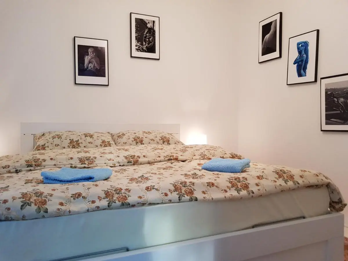 Cherry flower ( Trešnjin Cvet ) apartment