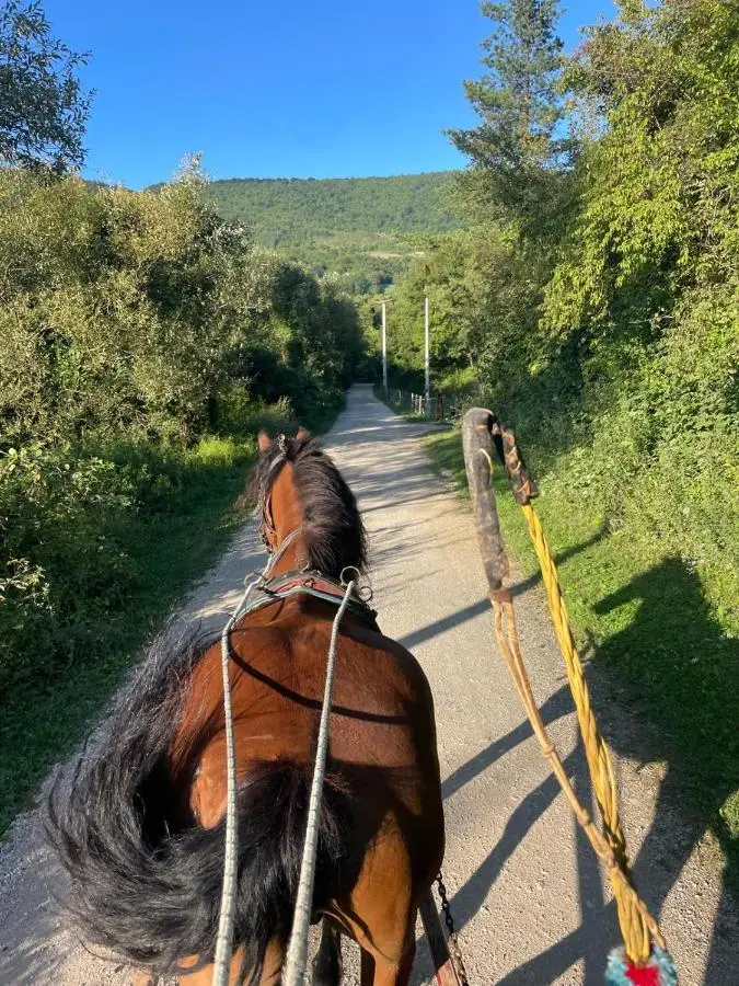 Ranch Jajce