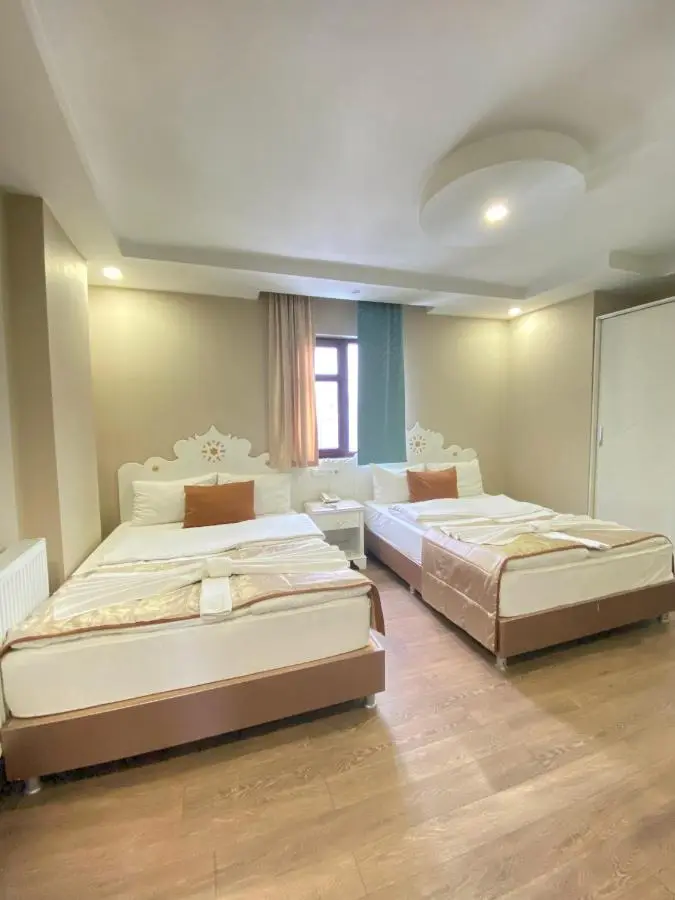 Hotel Kent Ani