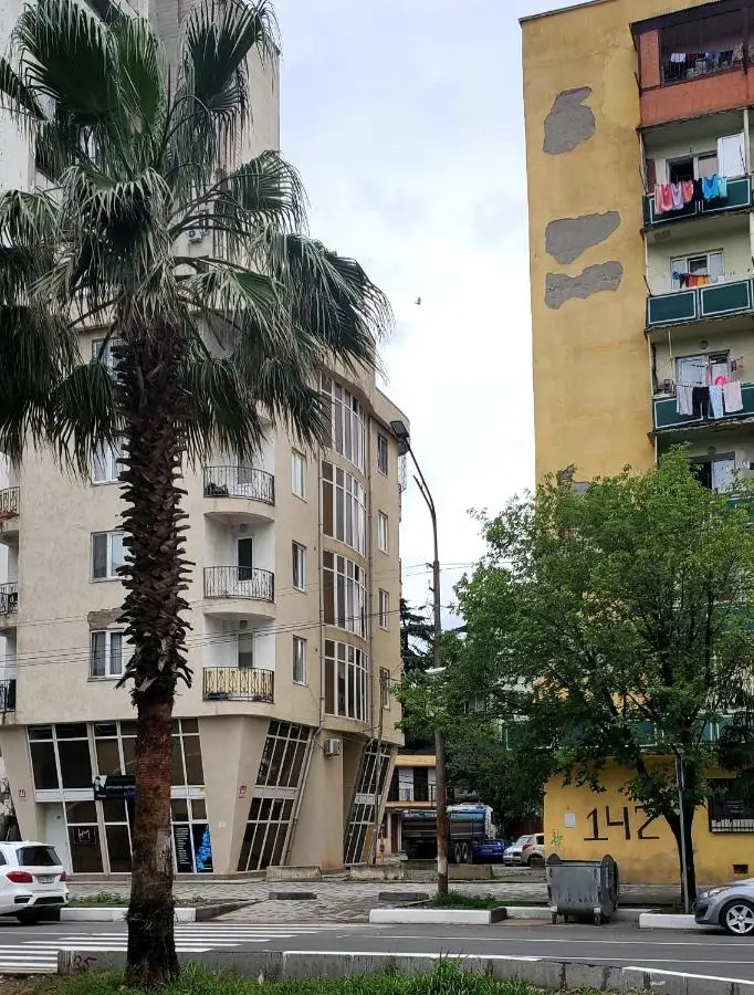 Green Palma