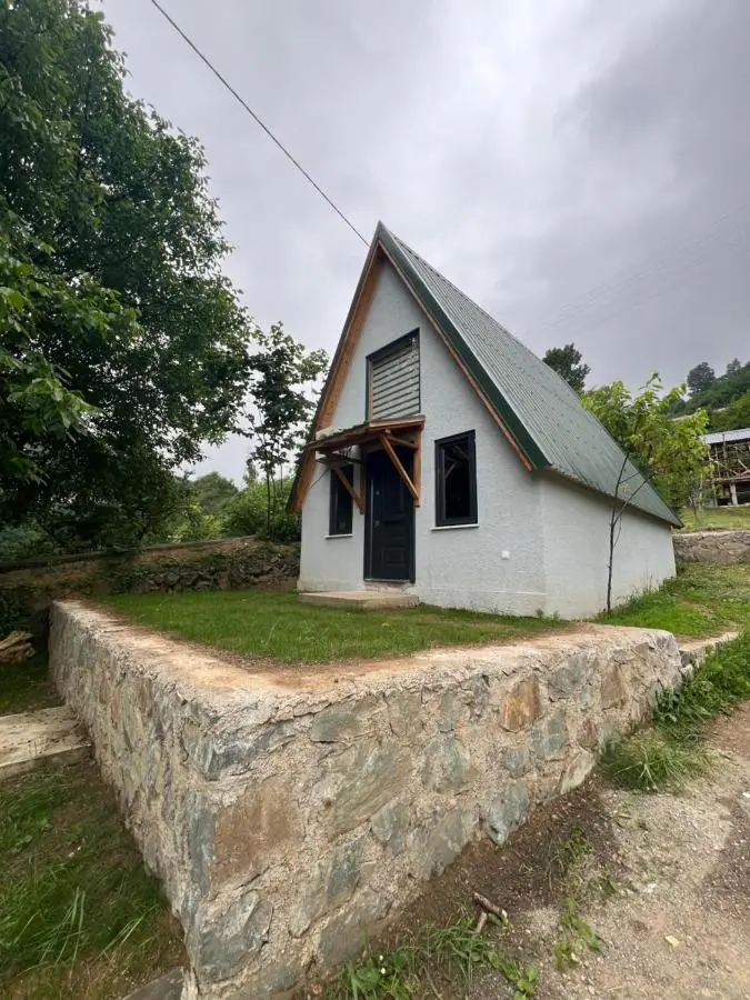 Ali's House
