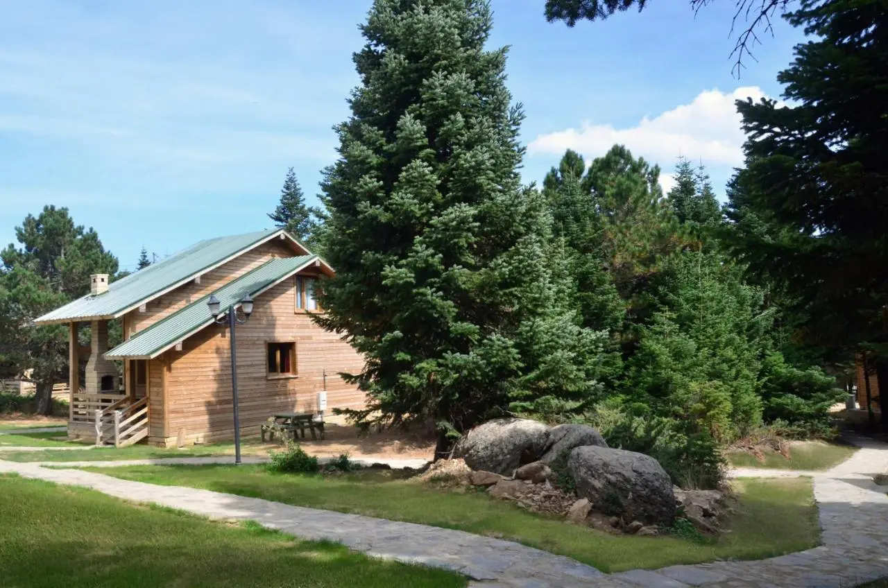 Uludag Orman Koskleri