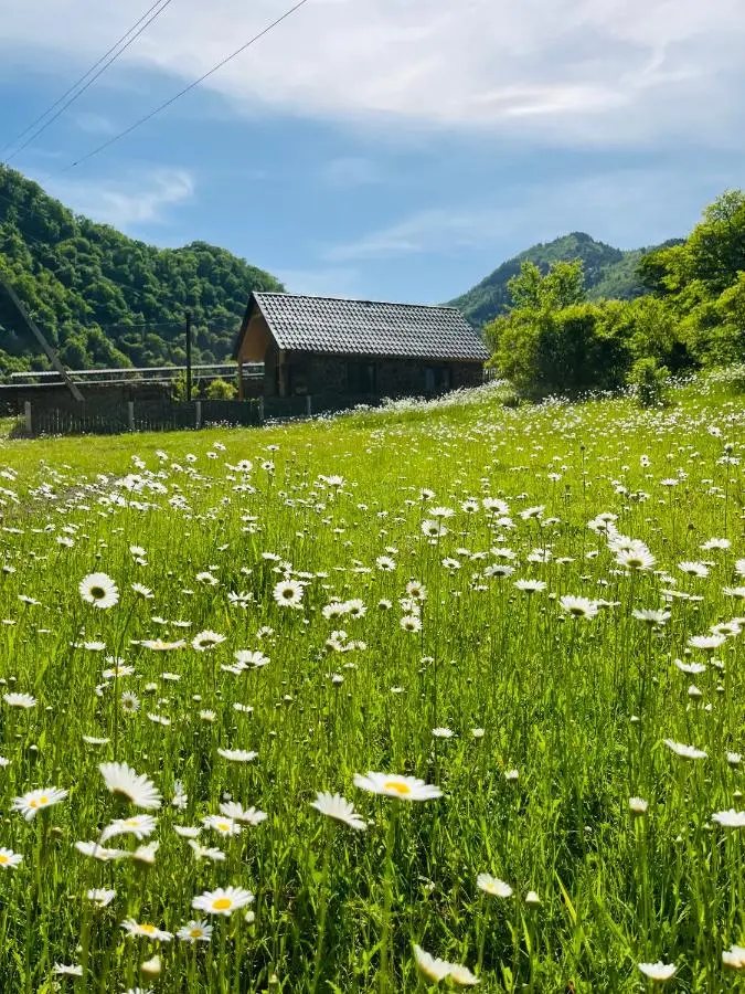 Woodlandia Borjomi with Hot Tub and Private Garden