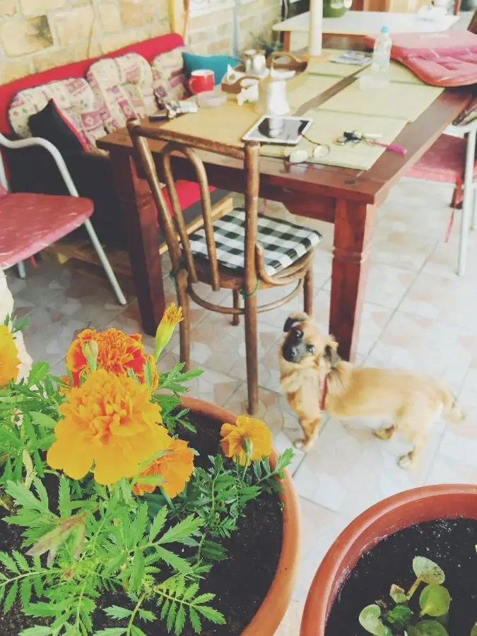 Guest house Nizama's Place