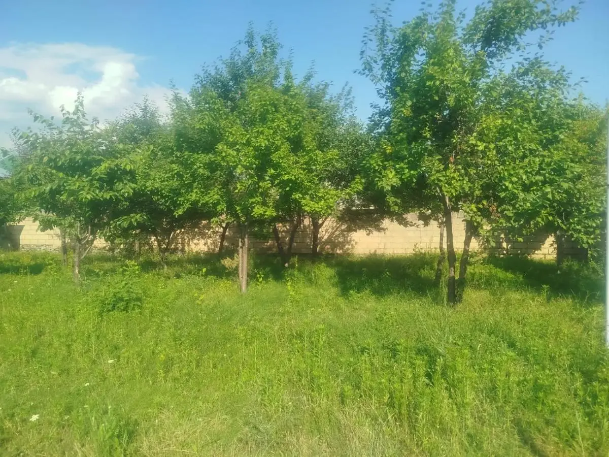 Gabala Home