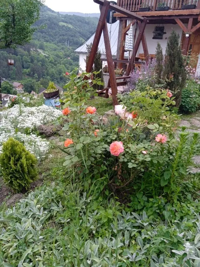 Privatni smještaj Kurtalija