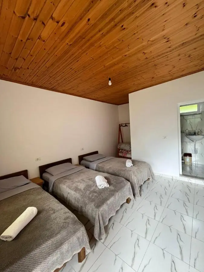 Guesthouse Driti
