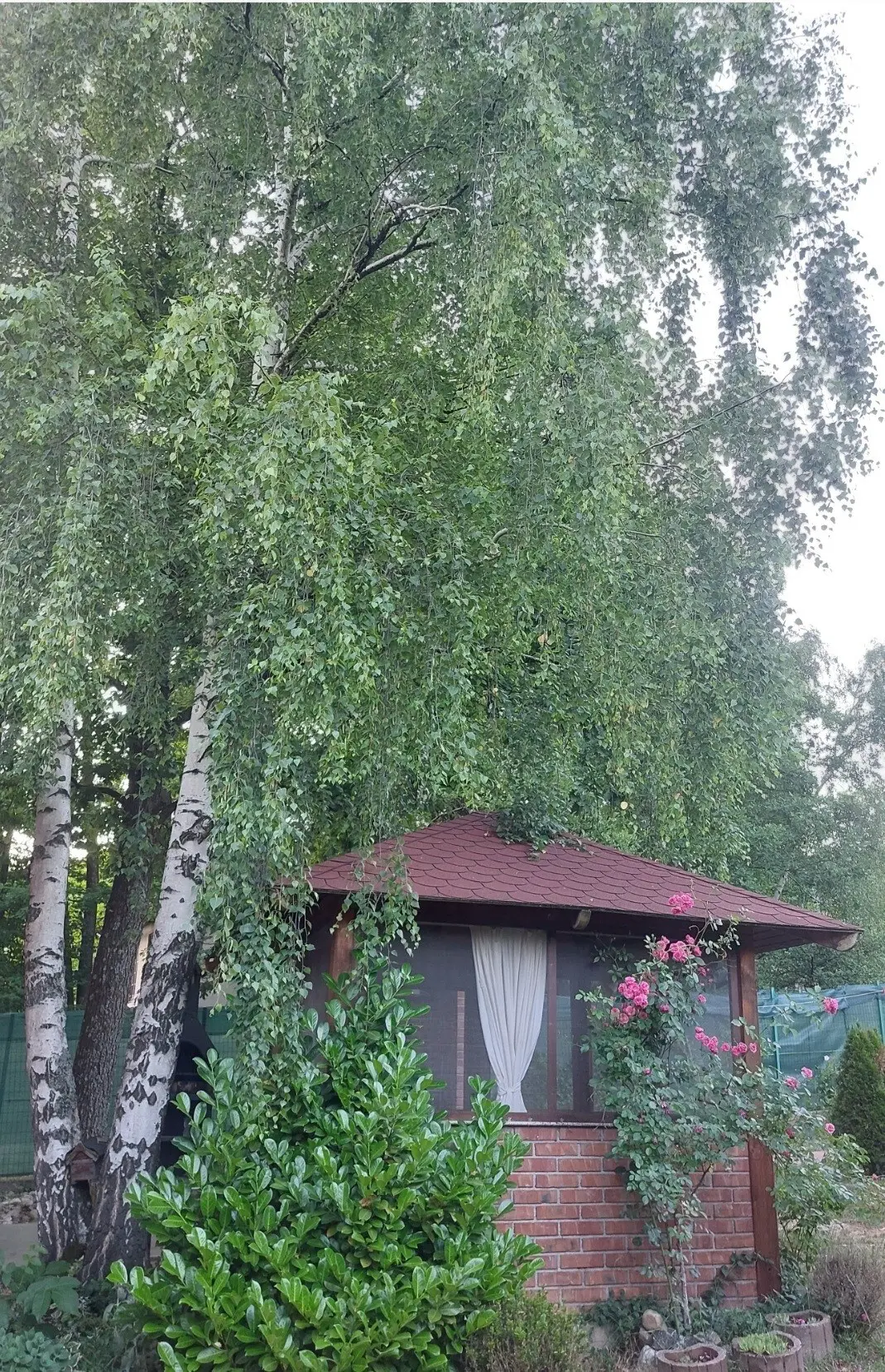 House Ahatovići 2