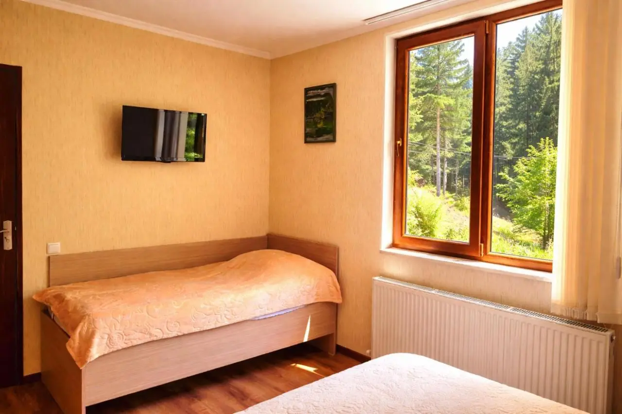 Hotel forest echo