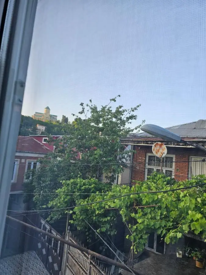 Guest house Mtani near Colchis fountain