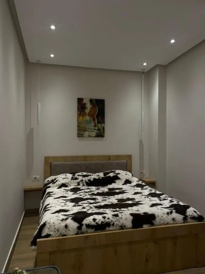 Modern 1 Bedroom City Apartment