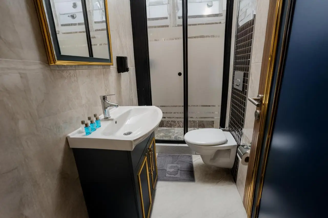 crown taksim hotel
