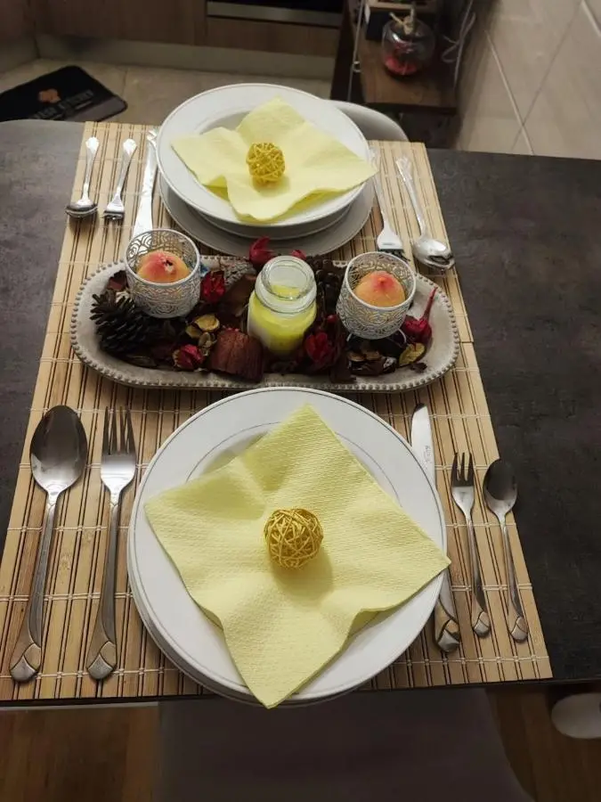 Yellow Corner Lux apartment, Lukavica, Istocno Sarajevo near Airport - free parking
