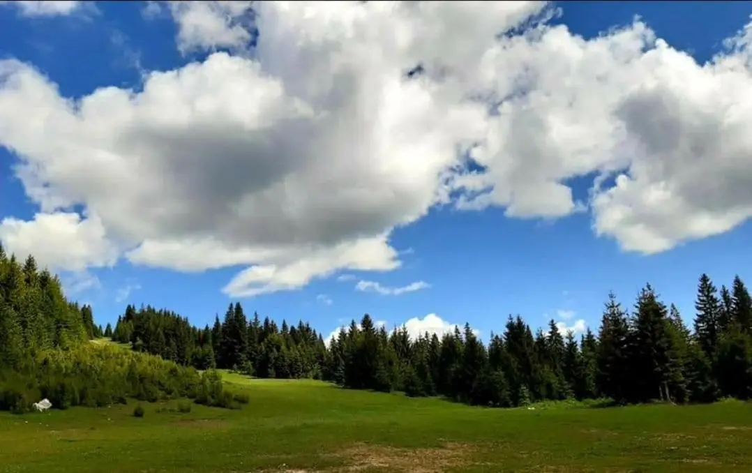 Vlašićka priča Eko Fis