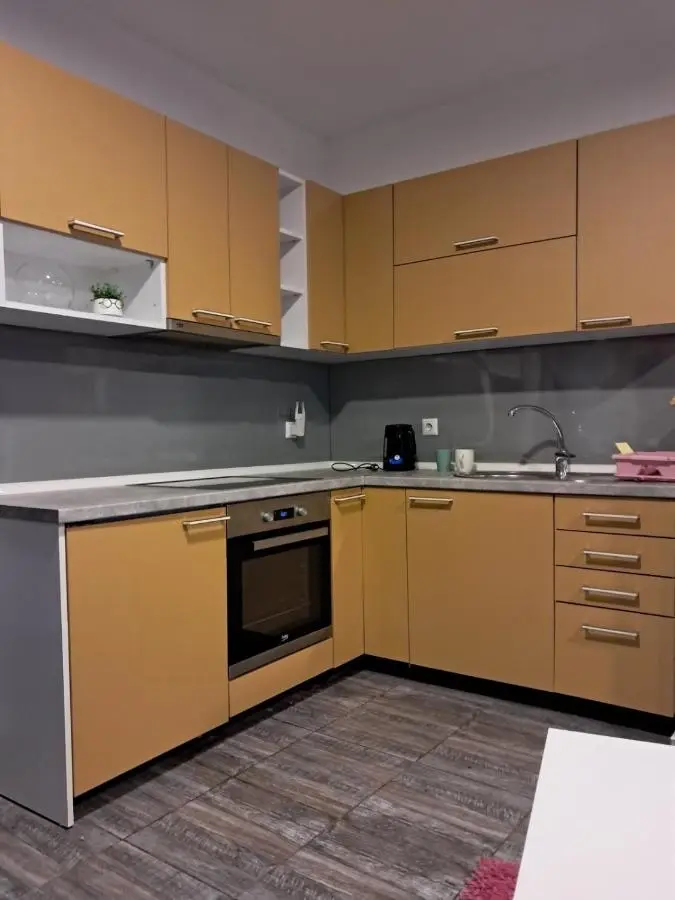 Apartment Vila Tara