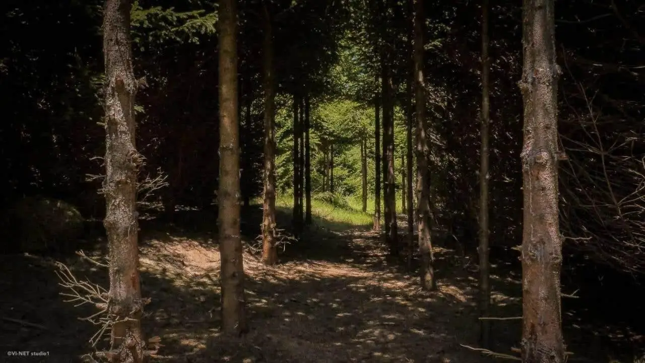 Green Forest Visoko