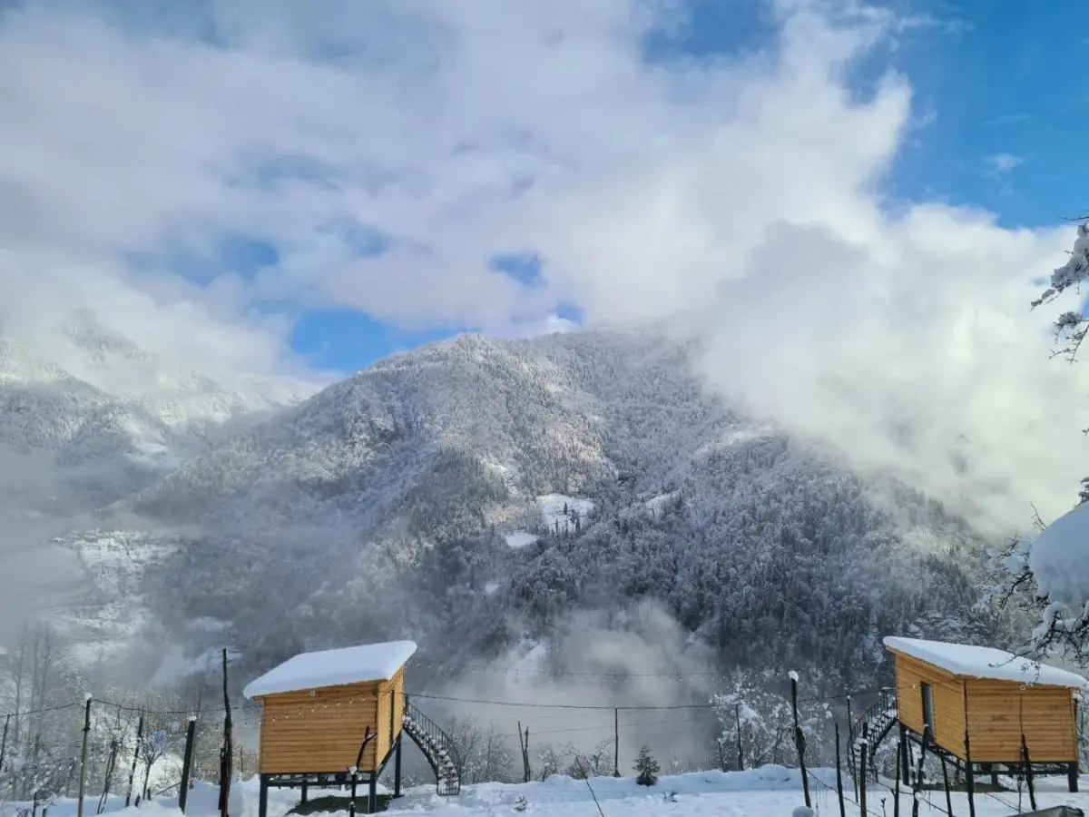 Lemanor lodge - Mountain Cottage in Adjara, Georgia