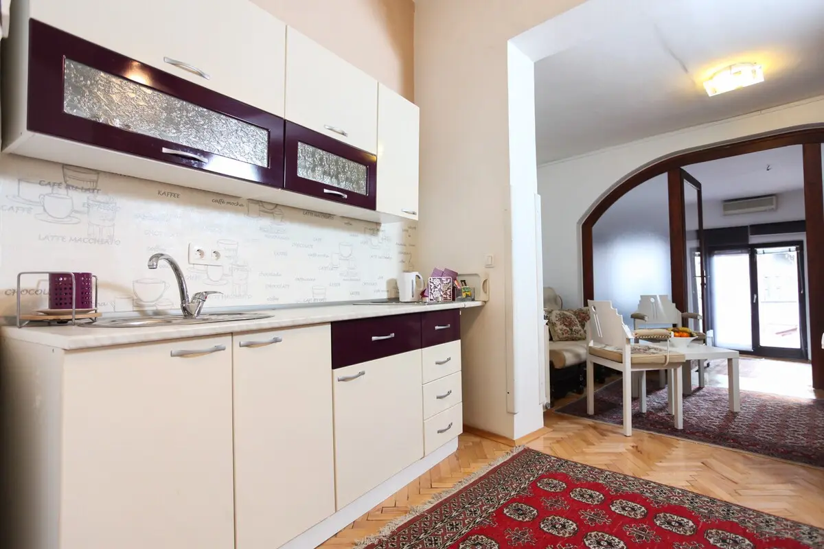 Teatar 4 - Big apartment with terace
