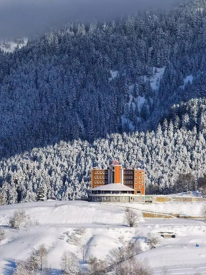 Black Forest Hotel