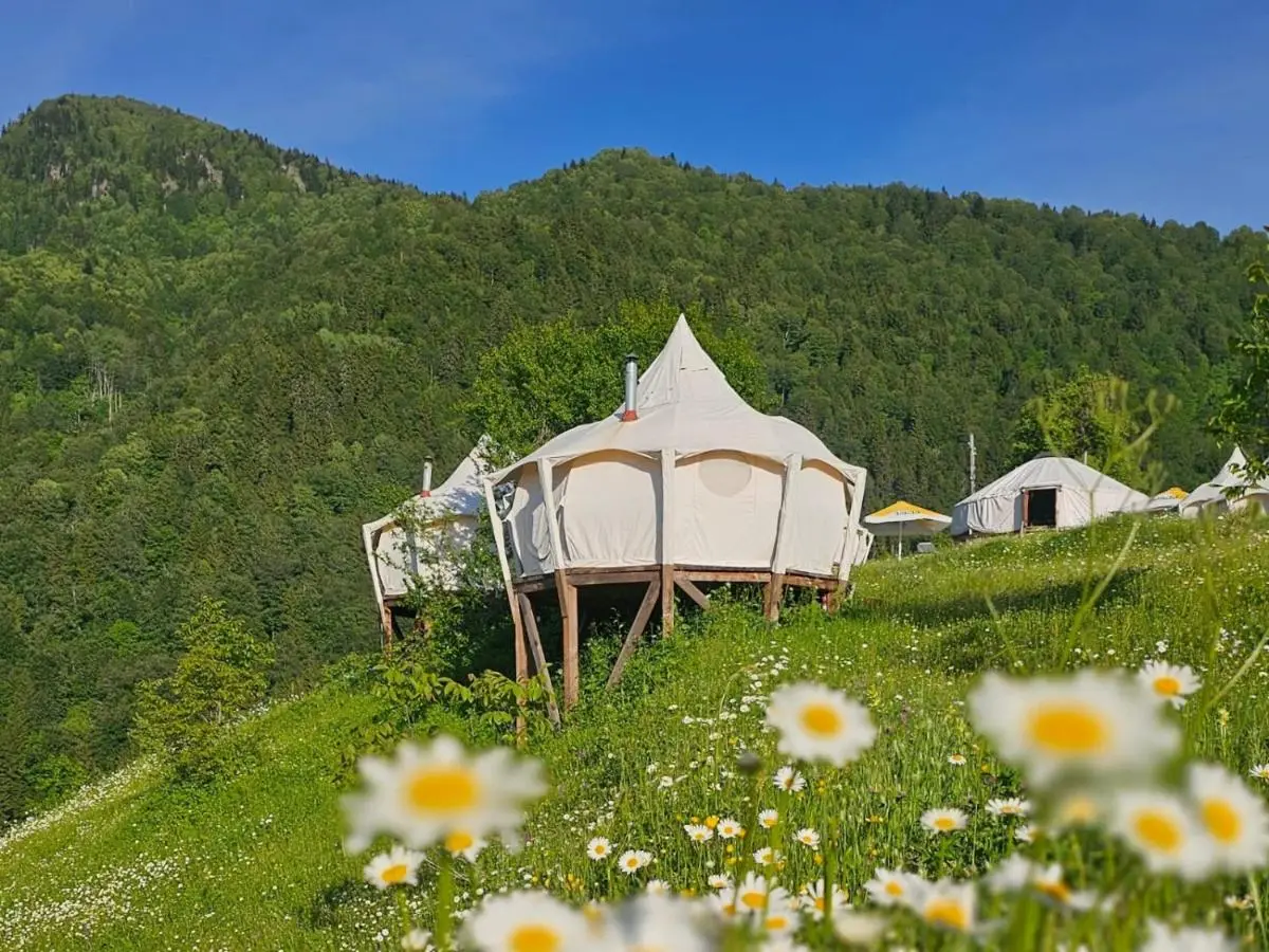 Glamping Tago
