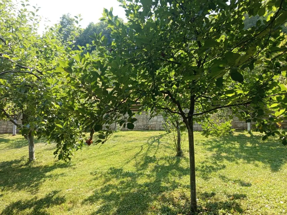 Holiday Home Dzeni