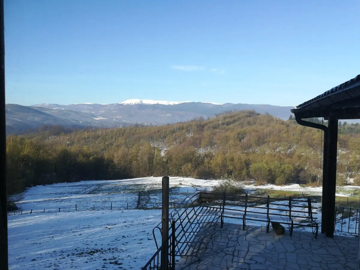 Nature retreat close to town