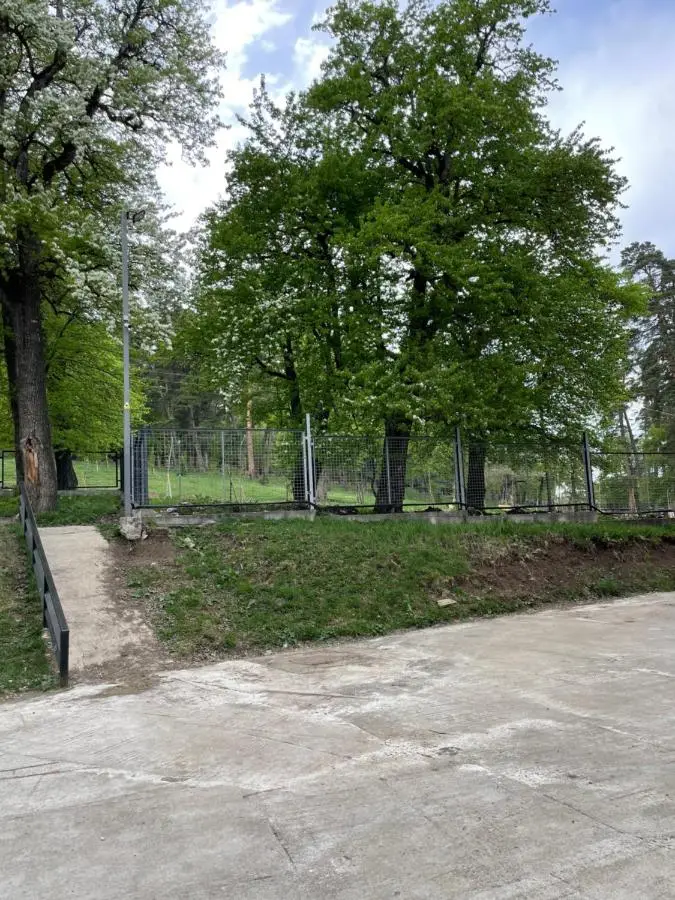 Hillside Bakuriani