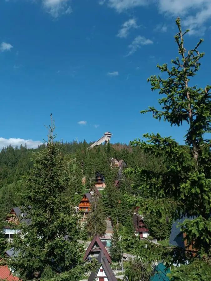 Vila Flora Vlašić