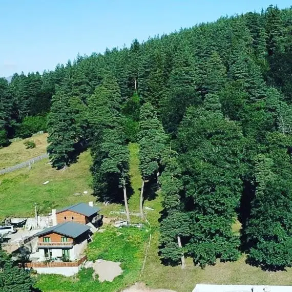 Villa Barleon Bakuriani